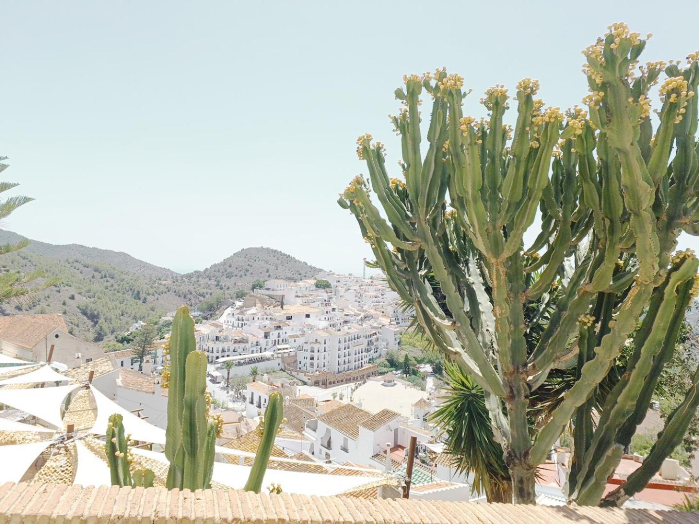Holiday home Pizarrillas: Tu Hogar En Blanco Pueblo Frigiliana
