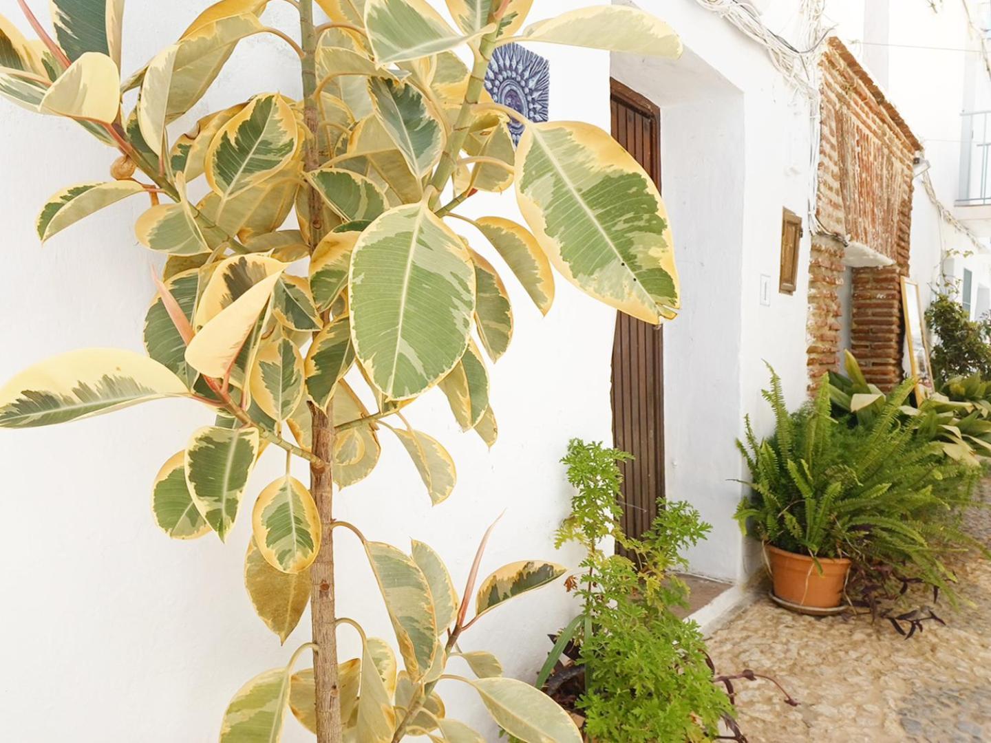 Pizarrillas: Tu Hogar En Blanco Pueblo Holiday home *